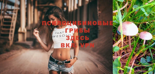 альфа пвп Красноперекопск
